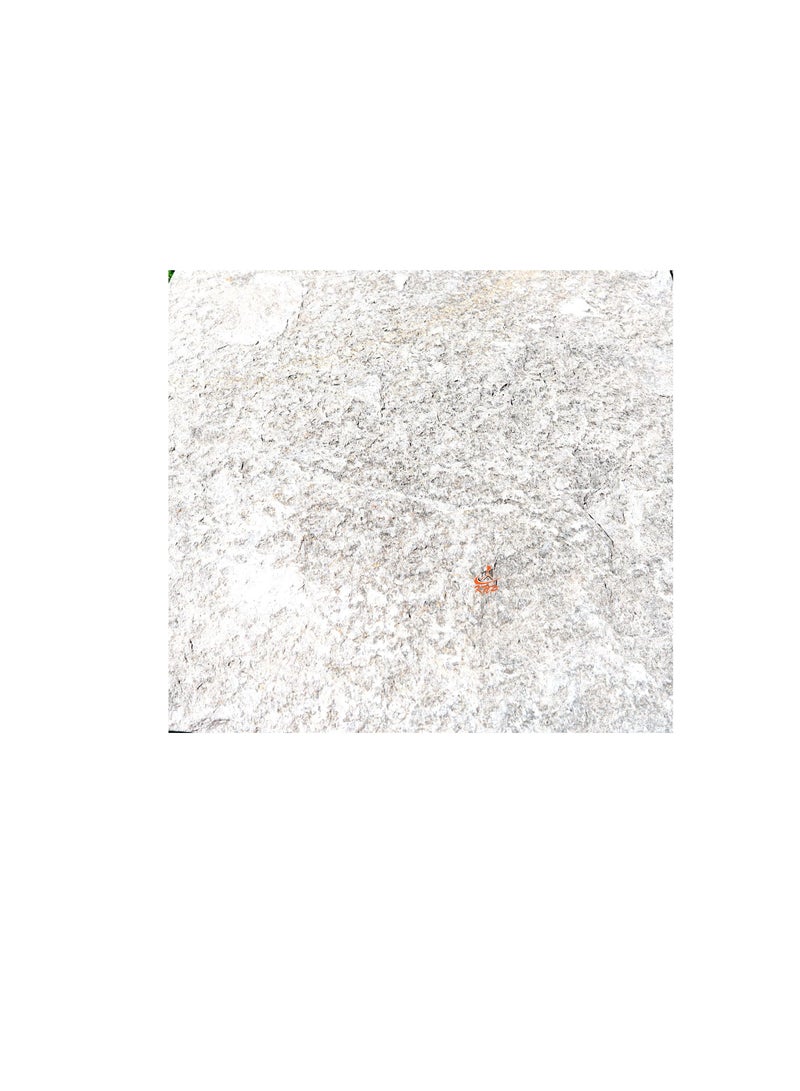 KNP Garden stepping stones Square 30x30cm greenish Gray set of 10 stones - Image 3