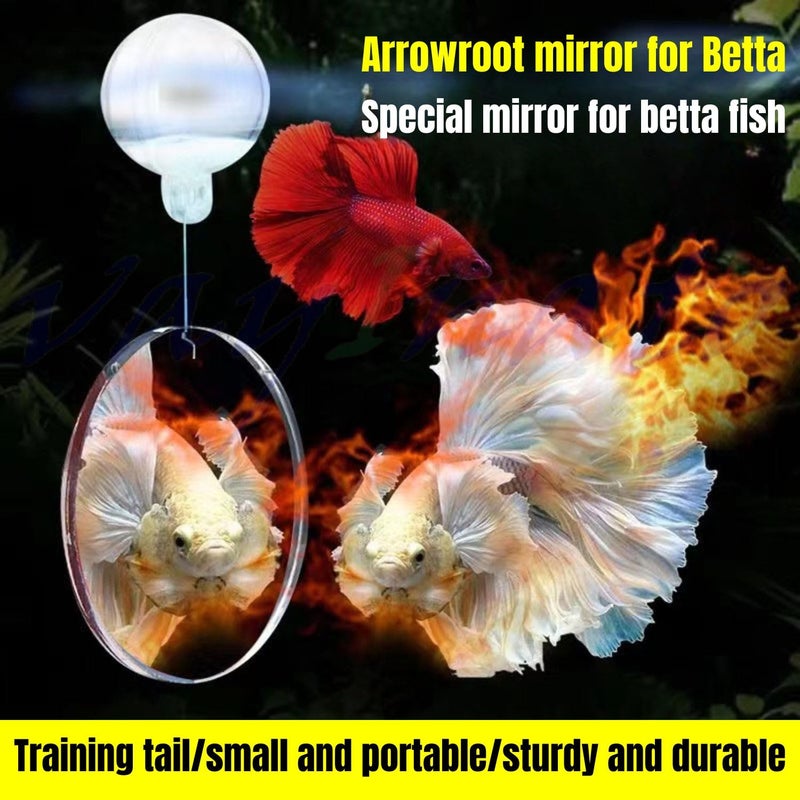 VAYINATO ® 4Cm Betta Training Round Double-Sided Mirror With Interactive Floating Ball, Exercise Circle | Smooth Edges By Petzlifeworld, Multicolor - Image 2