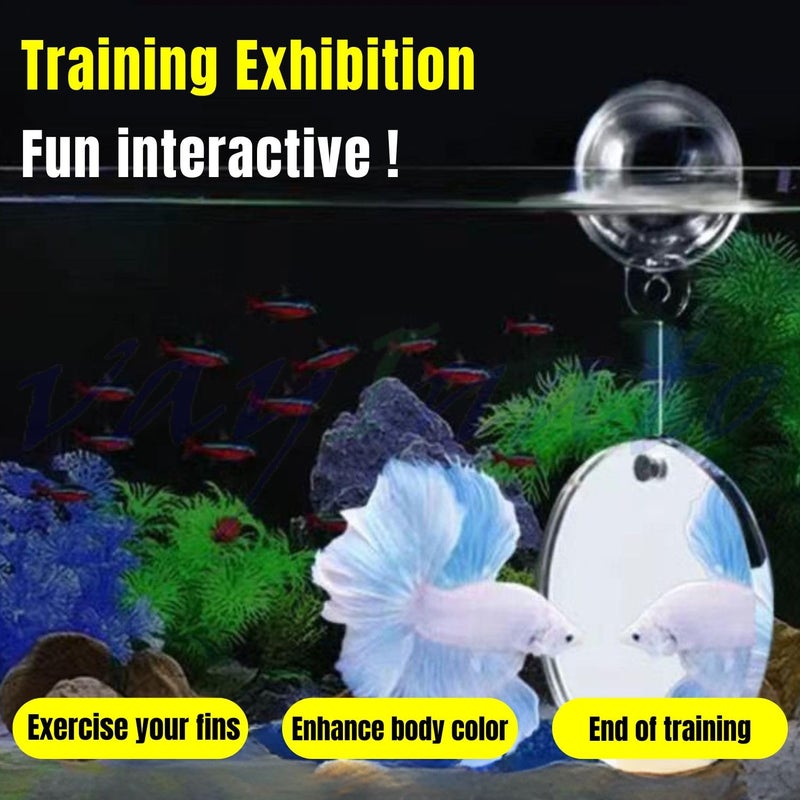 VAYINATO ® 4Cm Betta Training Round Double-Sided Mirror With Interactive Floating Ball, Exercise Circle | Smooth Edges By Petzlifeworld, Multicolor - Image 3