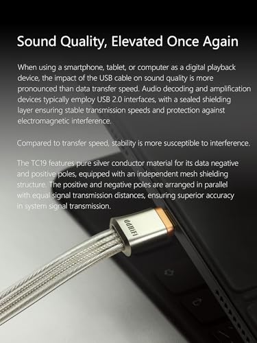 DD ddHiFi TC19CC USB C Cable Digital Signal OTG Cable Pure Silver USB-C to USB-C DAC Cable, Four-Wire Parallel Design, 25cm - Image 2
