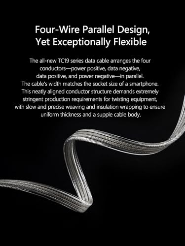 DD ddHiFi TC19CC USB C Cable Digital Signal OTG Cable Pure Silver USB-C to USB-C DAC Cable, Four-Wire Parallel Design, 25cm - Image 3