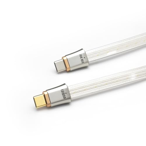 DD ddHiFi TC19CC USB C Cable Digital Signal OTG Cable Pure Silver USB-C to USB-C DAC Cable, Four-Wire Parallel Design, 25cm - Image 1