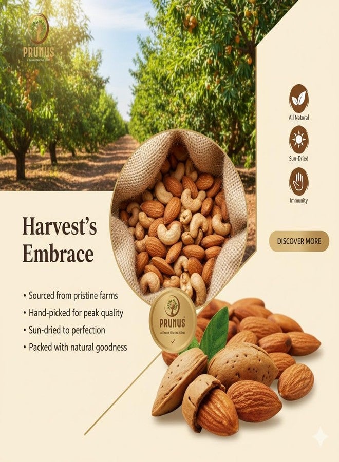 PRUNUS 100% Natural Premium California Almonds - 250g Resealable Pouch | Premium Badam Giri | High Fiber, Immunity Booster, Vegan & Gluten-Free | Fresh, Crunchy Real Nuts" - Image 2