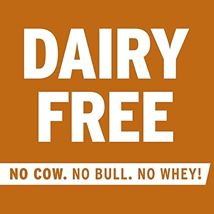 No Cow Protein Bar, Chocolate Fudge Brownie - Image 4