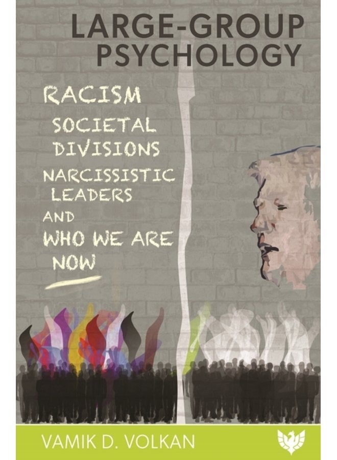 Large Group Psychology Racism Societal Divisions Narcissistic Leaders and Who We Are Now - Paperback