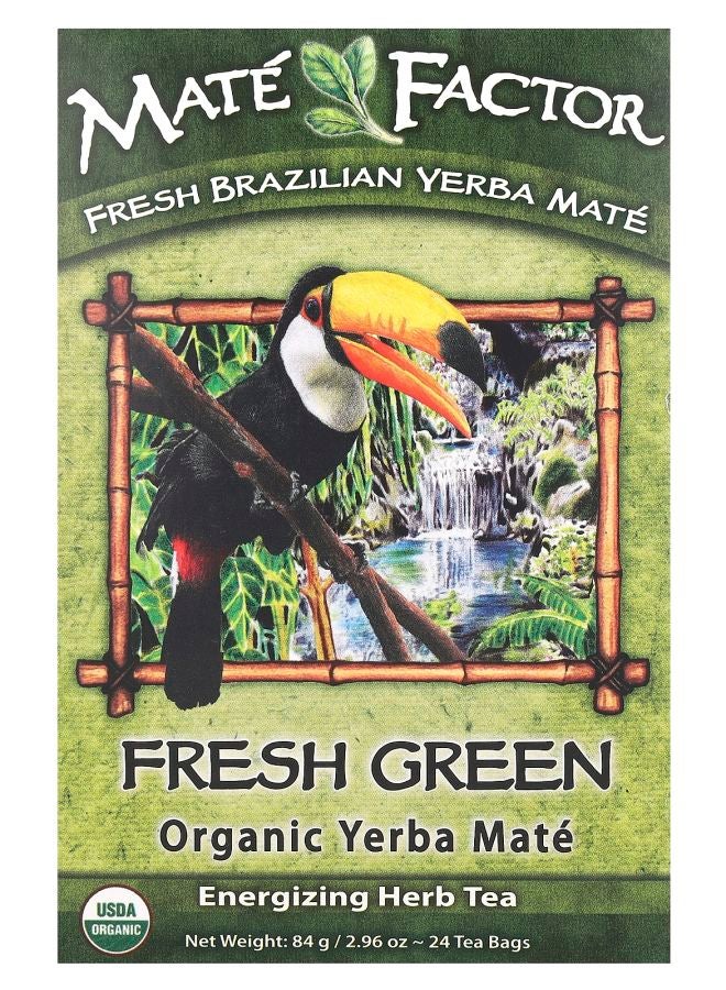 Maté Factor Organic Yerba Mate Fresh Green 24 Tea Bags 2.96 oz (84 g) 