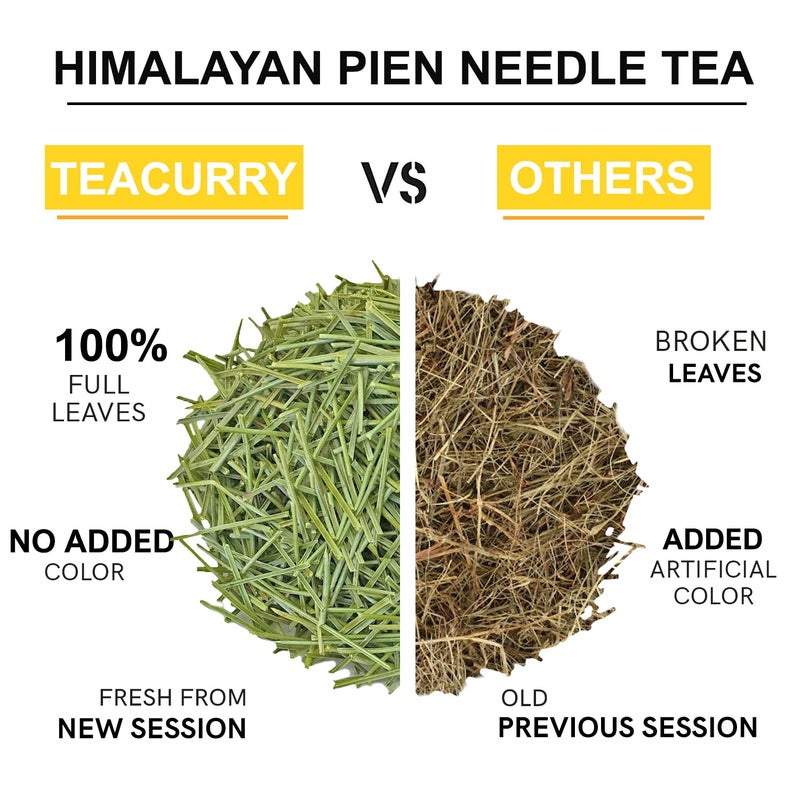 TEACURRY Himalayan Pine Needle Tea - (100 Grams, 200Cups) Helps with Hair, Skin, Eyes, Varicose & Obesity - Pine Needle From Portugal - Image 4