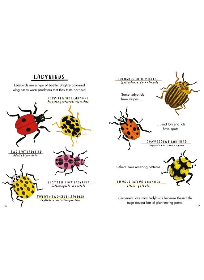 null - Little Guides to Nature: Hello Bugs - Image 1