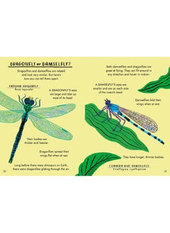 Little Guides to Nature: Hello Bugs  - Image 4