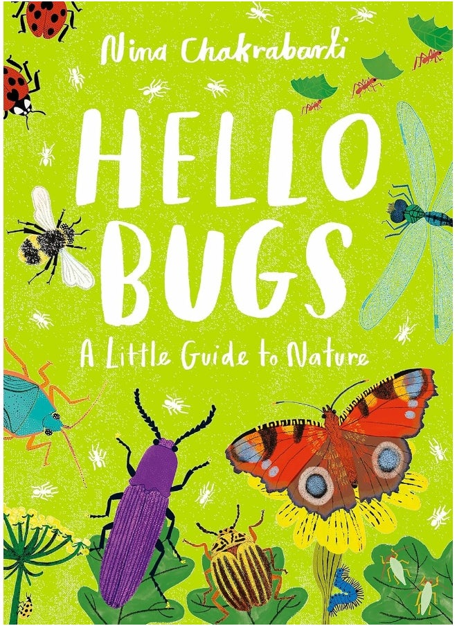 null - Little Guides to Nature: Hello Bugs - Image 1