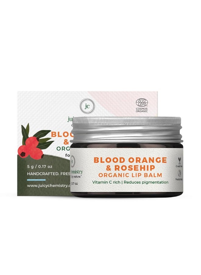 Blood Orange & Rosehip Lip Balm, 5 G | Enriched With Natural Ceramides To Hydrate, Moisturise & Reduce Pigmentation | Formulated With Organic Castor Oil, Jojoba Oil And Vitamin E To Soothe Dry & Chapped Lips For Soft, Healthy Lips | For Men And Women | Clinically Proven Dermatologically Tested - pzsku/ZB4C10B97E693D4404077Z/45/_/1735566911/e9f79253-1882-42d4-9021-dcbae0f6f9ae