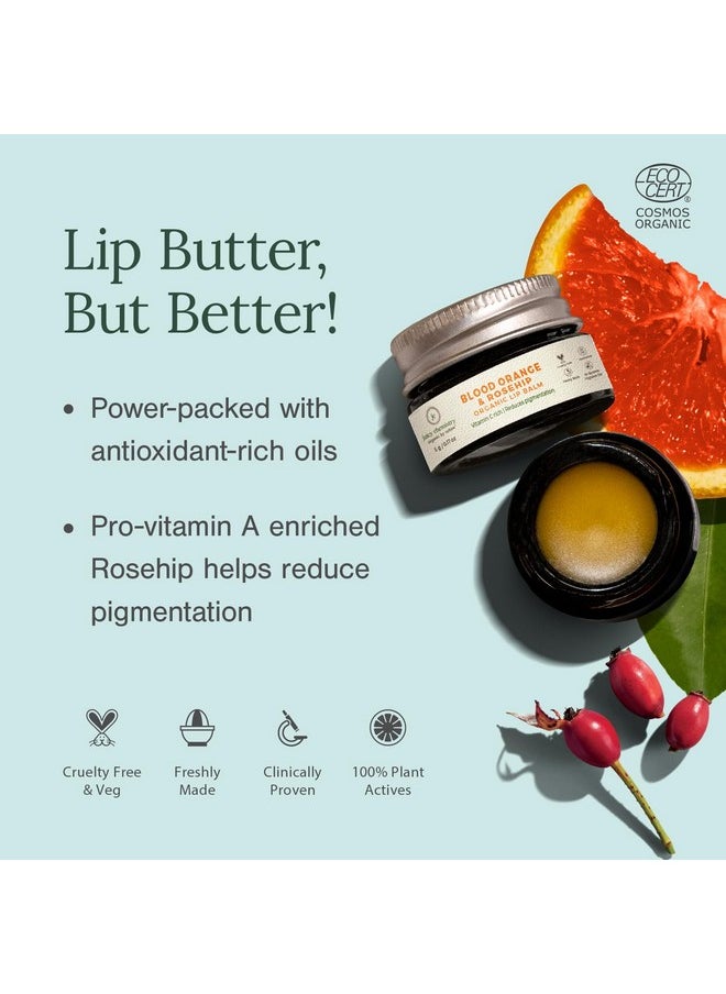 Blood Orange & Rosehip Lip Balm, 5 G | Enriched With Natural Ceramides To Hydrate, Moisturise & Reduce Pigmentation | Formulated With Organic Castor Oil, Jojoba Oil And Vitamin E To Soothe Dry & Chapped Lips For Soft, Healthy Lips | For Men And Women | Clinically Proven Dermatologically Tested - pzsku/ZB4C10B97E693D4404077Z/45/_/1735567173/6e609129-62d3-46a6-ab36-47d9680b4fe2