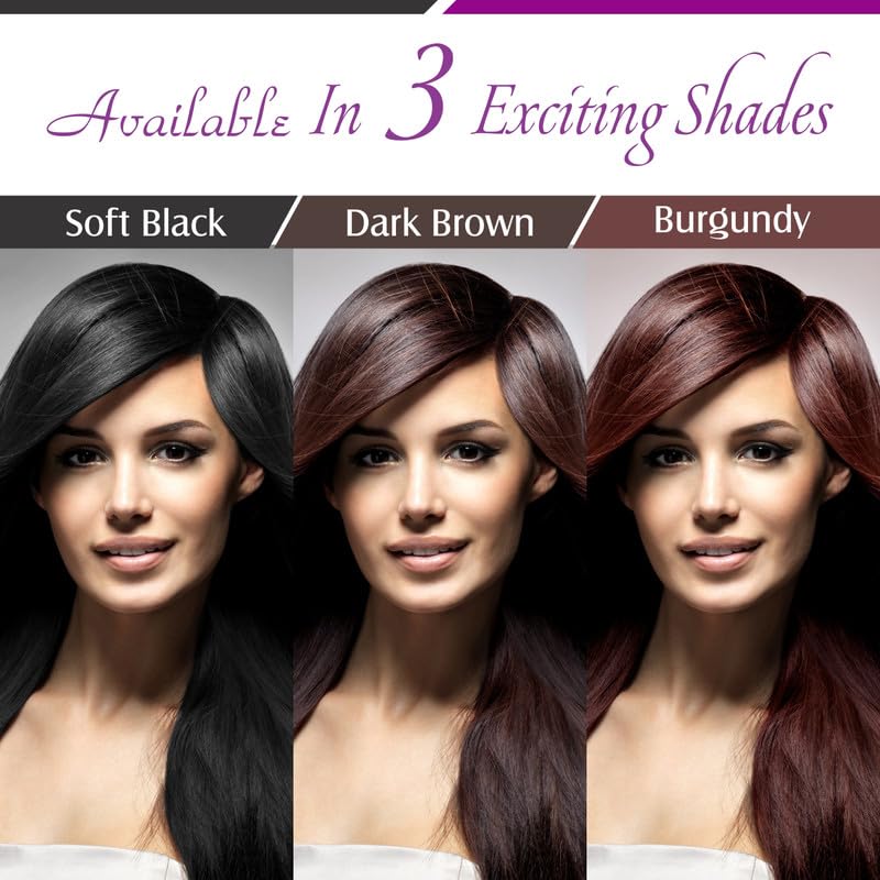 Vegetal Bio Hair Colour Dark Brown 50g Pack of 6 Achieve Natural AmmoniaFree Hair Color PPDFree 100 Herbal Certified Organic for Men and Women - Image 4