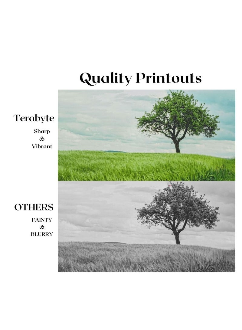 Terabyte CLT406S SAMSUNG  MAGENTA COMPATIBLE TONER TRABYTE - Image 2