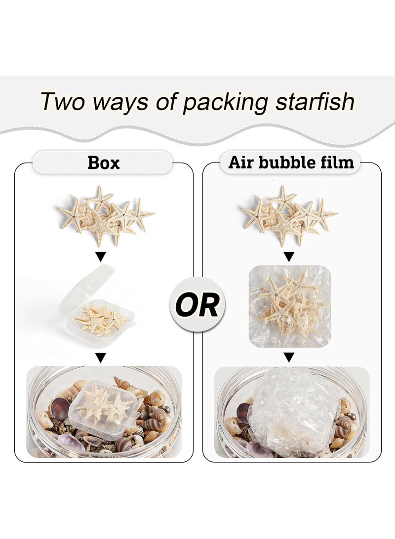 Tiny Sea Shells Small Natural Starfish Mixed Ocean Beach Spiral Seashells for Home Decorations,Wedding Decor,Candle Making,Beach Theme Party,DIY Crafts and Vase Filler(125G) - Image 3
