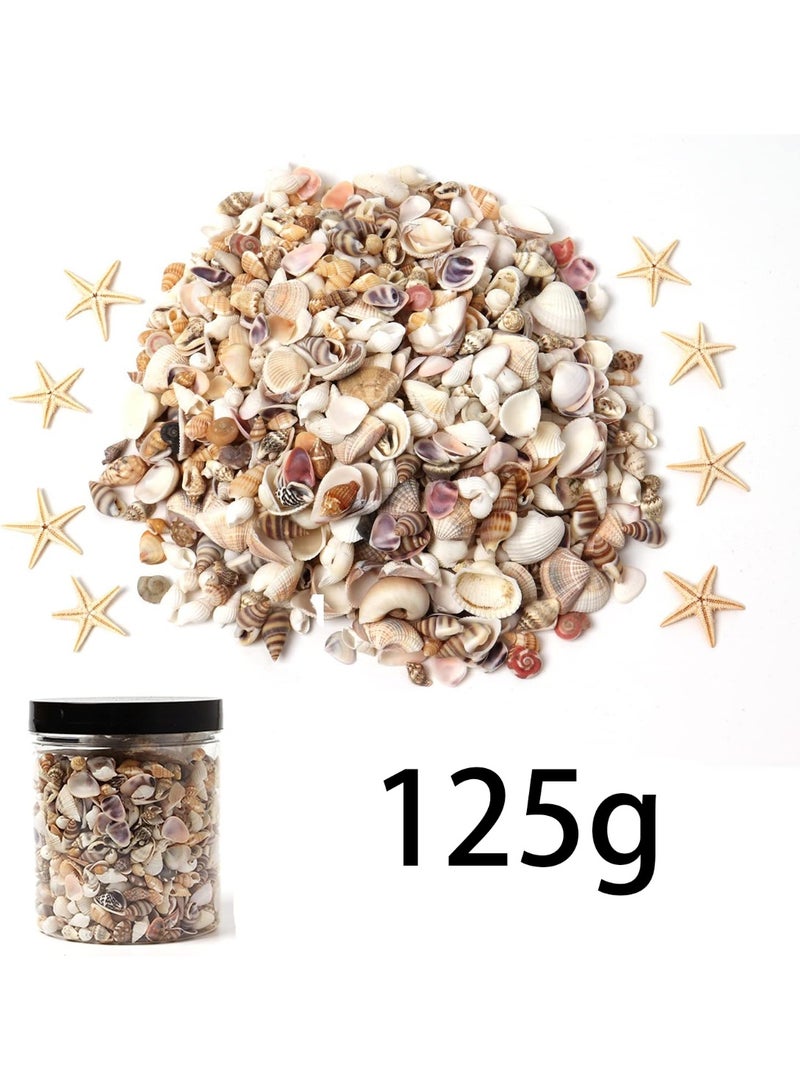 Tiny Sea Shells Small Natural Starfish Mixed Ocean Beach Spiral Seashells for Home Decorations,Wedding Decor,Candle Making,Beach Theme Party,DIY Crafts and Vase Filler(125G) - Image 4