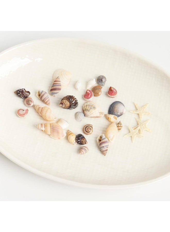 Tiny Sea Shells Small Natural Starfish Mixed Ocean Beach Spiral Seashells for Home Decorations,Wedding Decor,Candle Making,Beach Theme Party,DIY Crafts and Vase Filler(125G) - Image 2