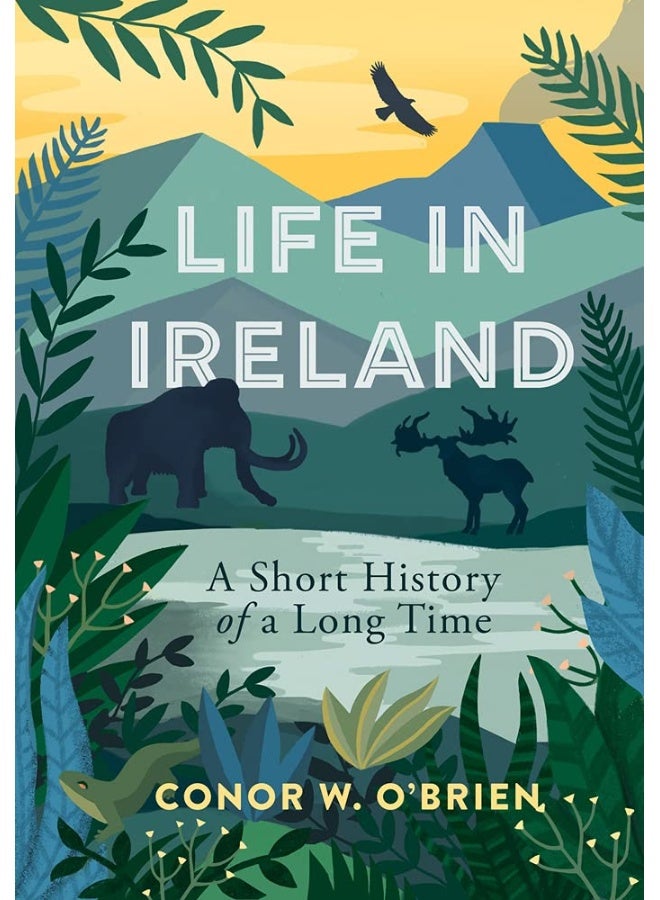 Life in Ireland: A Short History of a Long Time