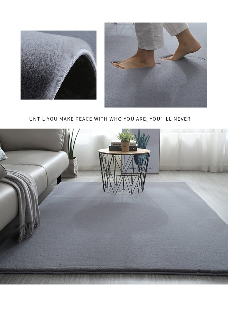 Sharpdo Soft Carpet Imitation Rabbit Velvet Floor Mat Living Room Area Rugs Bedside Rug Kids Play Mat Solid Color 70*160cm with Brush - Image 2