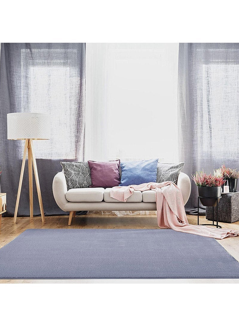 Sharpdo Soft Carpet Imitation Rabbit Velvet Floor Mat Living Room Area Rugs Bedside Rug Kids Play Mat Solid Color 70*160cm with Brush - Image 1