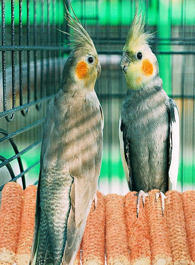 Beufee Parrot Toys, Chew Toys for Small Pets Bird Toys for Parrots Bird Toys Corn Cob Bird Chew Toys, Parrot Corn Cob Chew Toys Bite Resistant Hanging Bird Chewing Cage Toy - Image 5