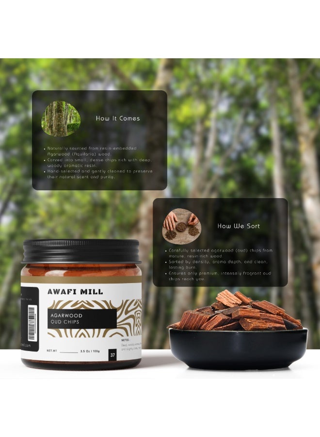 أباميك رقائق عود (خشب العود) من أوافي ميل 100 غرام (3.5 أونصة) | خشب البخور أكيلاريا/جيرينوبس لمباخر الفحم والبخور - Image 3