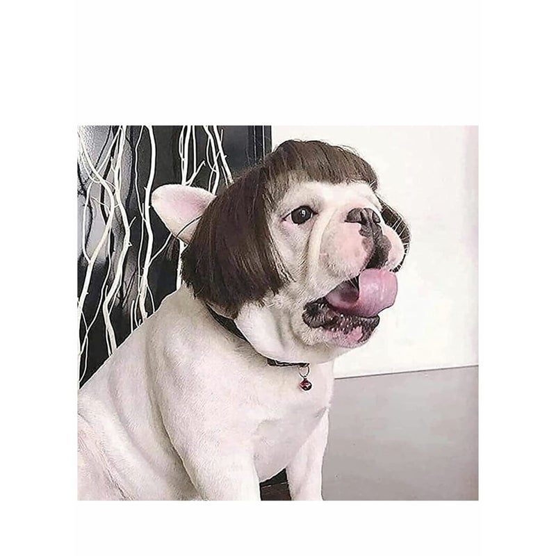 SOLARAE Dog Wig Pet Costumes, Cat Costume Synthetic Accessories Small Dog Headwear for Halloween, Festival Party Decor, Head Wear Apparel Toy - Image 3
