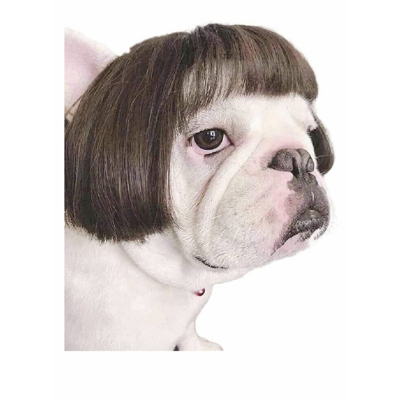 SOLARAE Dog Wig Pet Costumes, Cat Costume Synthetic Accessories Small Dog Headwear for Halloween, Festival Party Decor, Head Wear Apparel Toy - Image 2