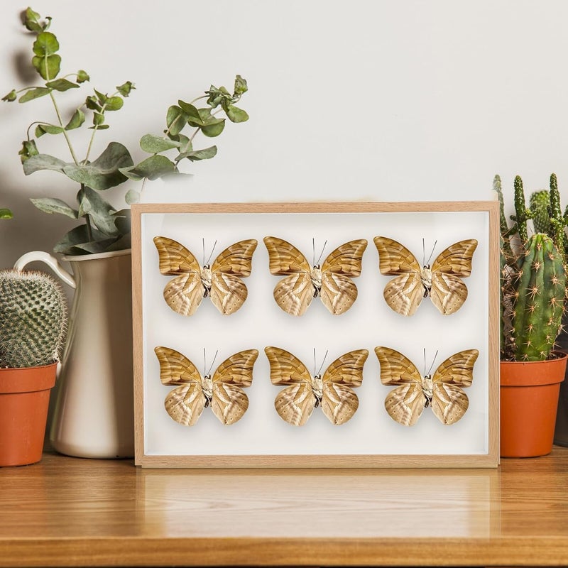 Advanced compact design BESPORTBLE Wooden Photo Frame A3 Hollow Desktop Picture Holder Natural Wood Color 3cm Depth Tabletop Wall-mounted Photo Display for Home Office Decor Closed & open space compatible Temp & permanent project compatible Consistent single item quality Economical upgraded quality Intra-city fast distribution Gulf market standard build Wide range expanded design Long lasting universal build Global trendy simple build Cost effective upgraded craftsmanship Fine detail Spec upgraded improved quality Worldwide popular practical build Long lifespan Storage & transit friendly Cost saving design picks Precision polished solid material Scheduled warehouse deliver KSA market compliant quality Main road full logistics cover Diverse requirement fit Daily use improved quality Repeated use resistant selected material Advanced minimal build - Image 5