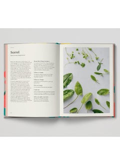 Wild And Sweet: How to forage your own dessert  - Image 5