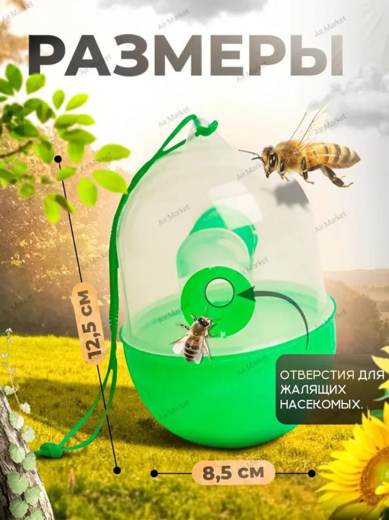 Wasps Trap 2pcs Transparent Green - Humane & Reusable Flying Insects Trap for Cottage Garden, Vegetable Patch & Outdoor Summer Protection - Image 4