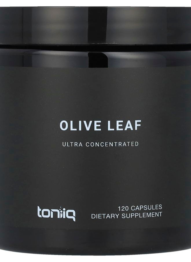 Olive Leaf 120 Capsules - pzsku/ZB4CE5D9B792697B25622Z/45/_/1731509561/af849624-5739-4b88-b146-a8e53b7049a8