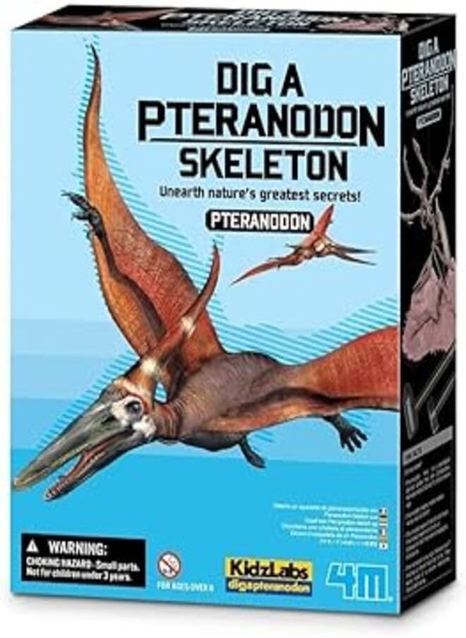 4m - Dig a pteranodon skeleton - Image 1