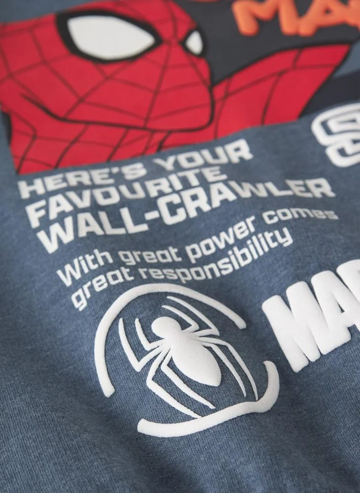 Name It  Kids Spiderman Pullover Sweatshirt for Men | Best Price UAE