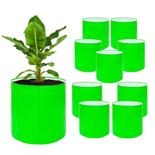 BIANCO Grow Bags for Gardening Vegetables Herbs & Flowers (Set of 10) Planter Bags for Home Balcony Terrace & Outdoor Farming (9 Inch, 250gsm) Heavy Duty Reusable Gallon Grow Bags - Image 1