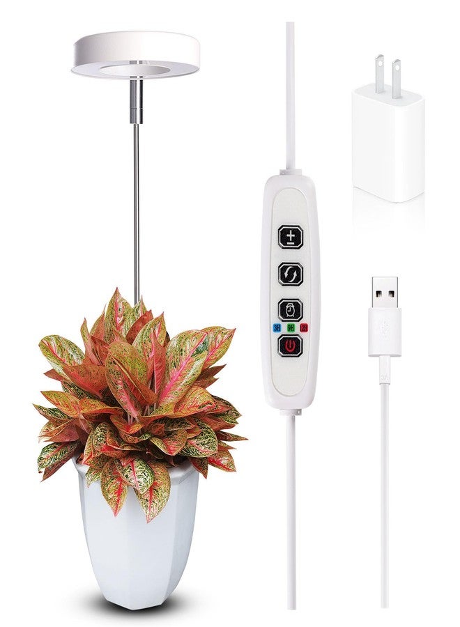 Qicodu Grow Lights for Indoor Plants Small Potted - Full Spectrum, Auto 3/9/12H Timer, 10-Level Dimming & Adjustable Height - Compact Grow Light for Succulents, Herbs, Foliage in Home/Office (White,1PACK) - Image 1