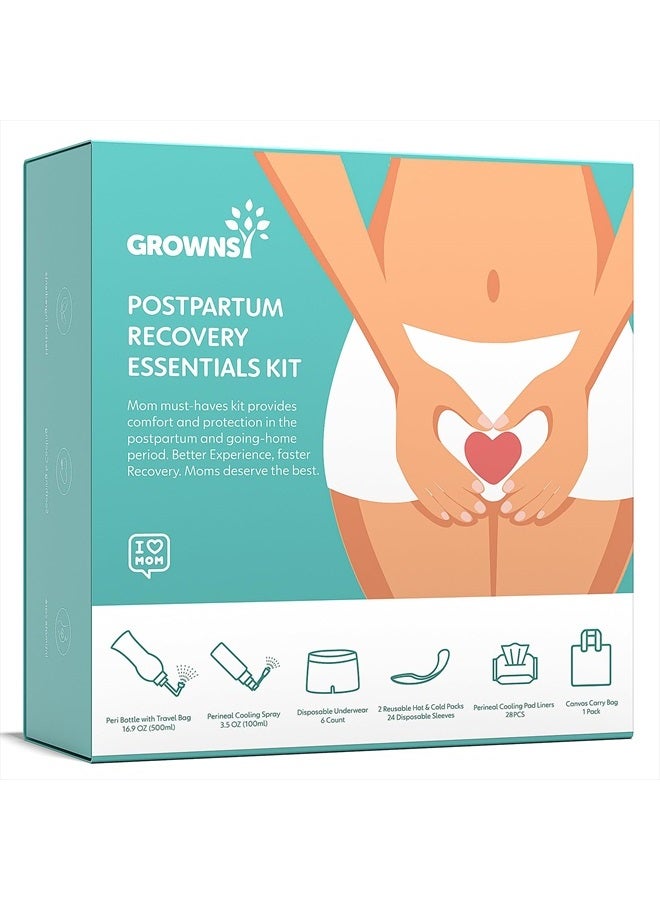 GROWNSY مجموعة Grownsy Postpartum Recovery Essentials للتعافي بعد الولادة، مجموعة شاملة لما بعد الولادة تتضمن زجاجة PERI، ورذاذ تبريد عشبي، وبطانات تبريد عشبية، وأكياس ساخنة وباردة، وملابس داخلية يمكن التخلص منها - Image 1