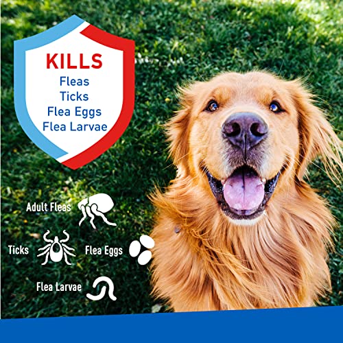 Adams Flea & Tick Spray For Dogs and Cats ; Kills Fleas and Ticks Through Contact, Kills Flea Eggs, Flea Larvae, and Prevents Flea Egg Hatch ; Controls Flea Reinfestation For Up To 2 Months ; 16 Oz - Image 3
