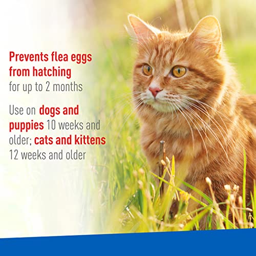 Adams Flea & Tick Spray For Dogs and Cats ; Kills Fleas and Ticks Through Contact, Kills Flea Eggs, Flea Larvae, and Prevents Flea Egg Hatch ; Controls Flea Reinfestation For Up To 2 Months ; 16 Oz - Image 5