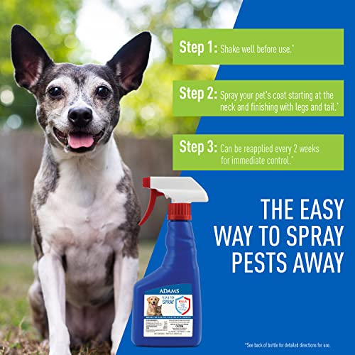 Adams Flea & Tick Spray For Dogs and Cats ; Kills Fleas and Ticks Through Contact, Kills Flea Eggs, Flea Larvae, and Prevents Flea Egg Hatch ; Controls Flea Reinfestation For Up To 2 Months ; 16 Oz - Image 4