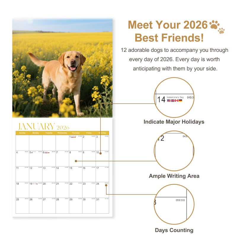 VALOME 2026 Calendar, Wall Calendar 2026, Dogs 12 Month Wall Calendars (Jan - Dec 2026) 12" x 24" Opened, Hanging Monthly Calendar Thick Paper for Kids Family Adults Office Home - Image 3