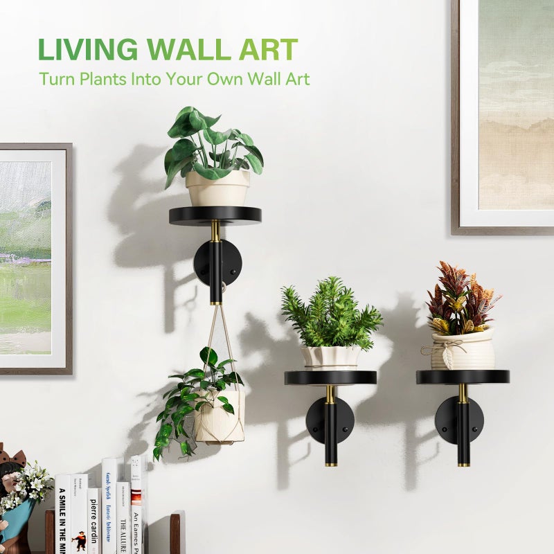 DELLAN Wall Plant Holder, 3 Pack Metal Wall Planters Stand Hanging Shelves for Indoor Plants, Window Sill Plant Decor for Bedroom, Bathroom, Living Room, Home, Office, BlackGold - Image 5