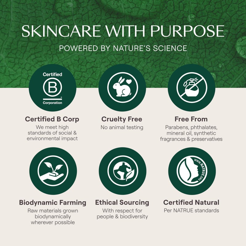 Weleda - Skin Food Light Moisturizing Cream 3-pack - Fast-Absorbing, Ultra-Hydrating Formula with Sunflower Oil and Pansy Extract - Image 5