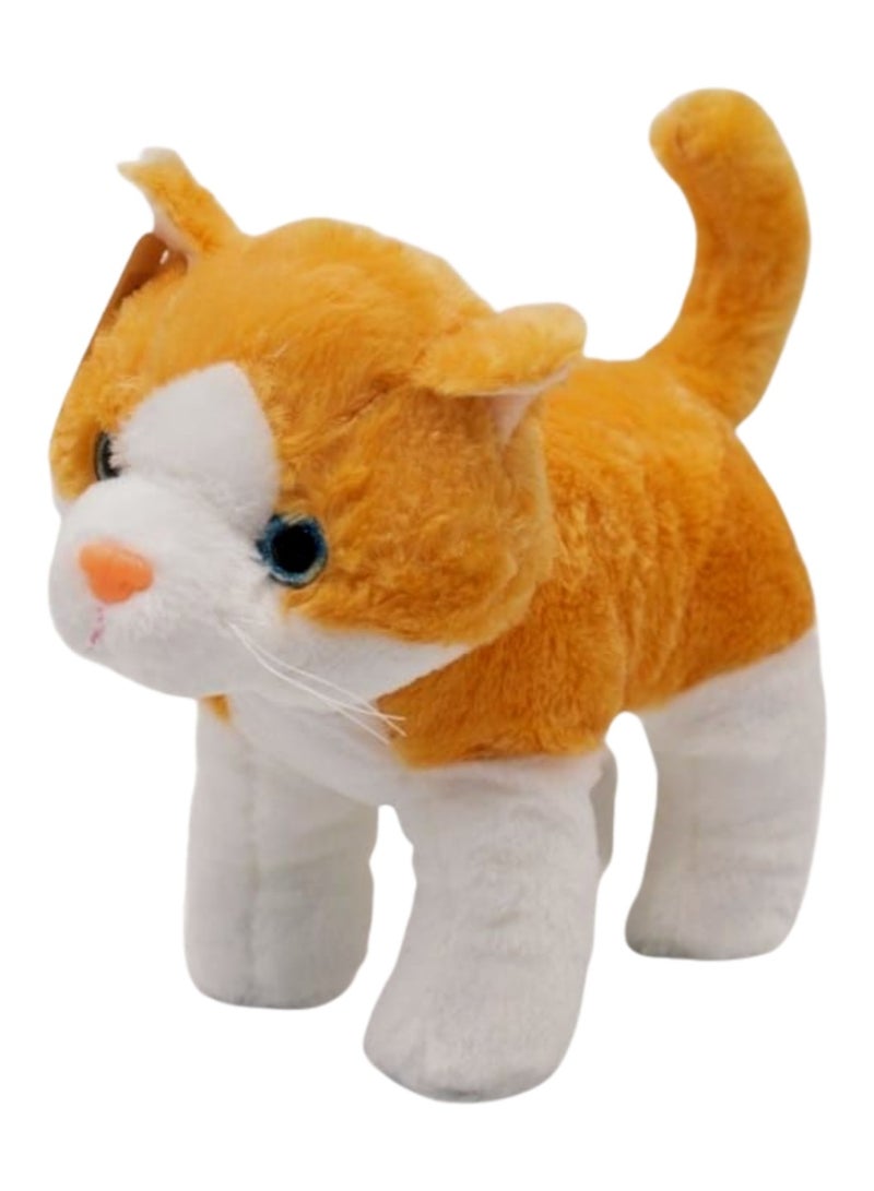 Cat Kitten Toys For Boys And Girls Size 11x30x21cm