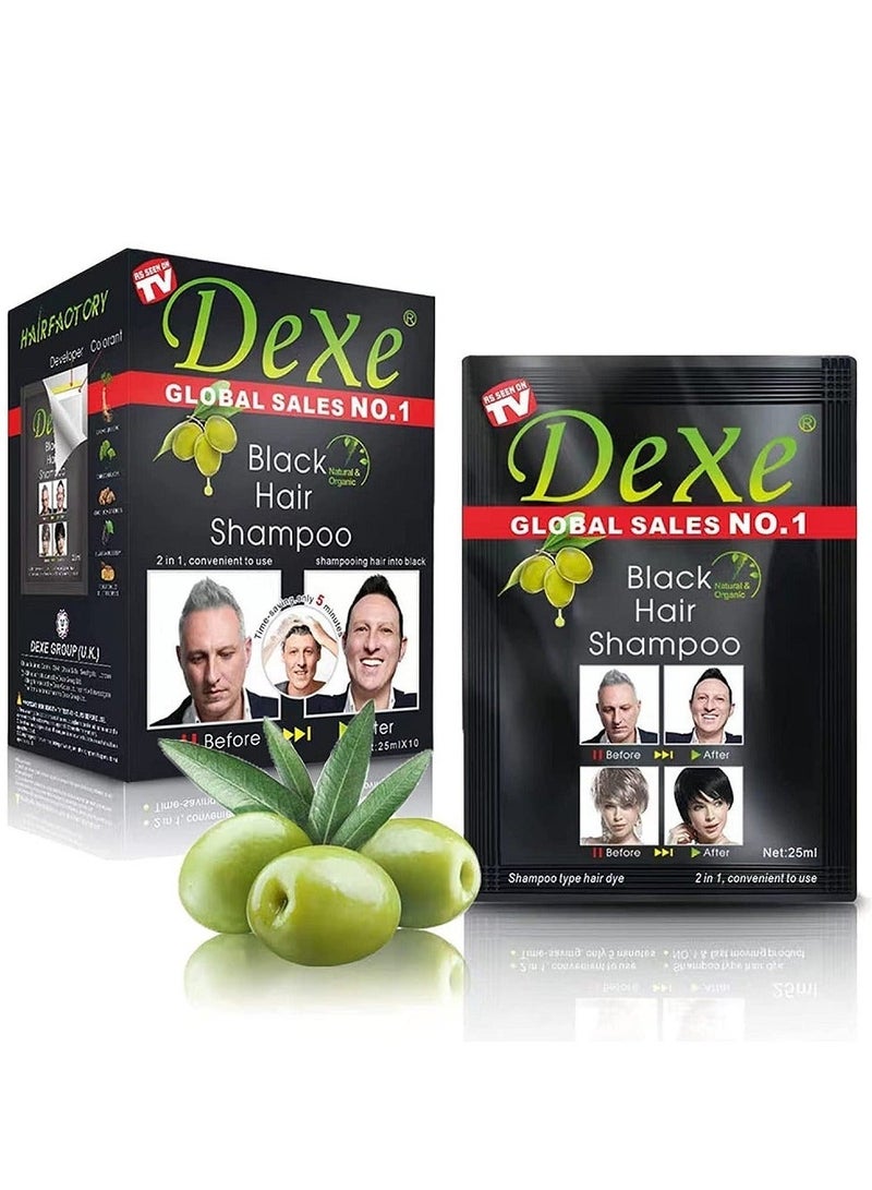 Dexe Fast hair dye shampoo black 25ml - Image 1
