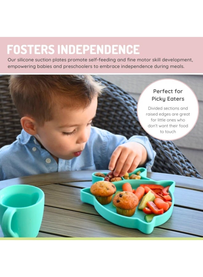 melii طبق شفط سيليكون للأطفال - طبق تغذية مقسم مع قاعدة شفط قوية - خالي من BPA، آمن للاستخدام في الميكروويف وغسالة الصحون - تركوازي - Image 5