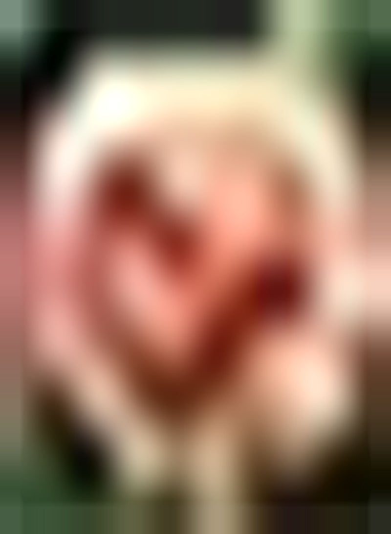 GGOOT 200pcs Helder Oranje Zinnia Zaden Aantrekkelijke Zinnia Bloemzaden voor Planten Prachtige Meerlaagse Bloemblaadjes Hoge Kiemkracht - Image 3