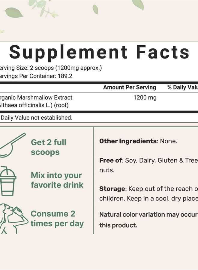 Micro Ingredients Organic Marshmallow Root Powder, 8 Ounce, Filler Free and Traditionally Used, Supports Digestive Gastrointestinal Health, Non-Irradiated and No GMOs, Vegan Friendly - Image 2