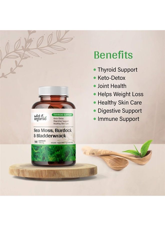 Wild & Organic Sea Moss Capsules - 180 Caps Wildcrafted Irish Moss, Burdock Root & Bladderwrack Vegan Supplement - Superfood Support for Keto Diet - Non-GMO Capsules for Thyroid & Digestive Health - Image 2