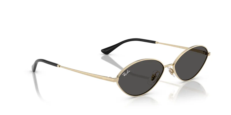 Ray-Ban 0Rb3757 Oval Sunglasses